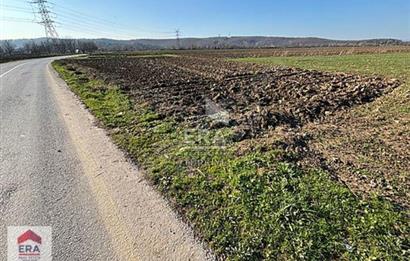 ERA KARAT ADAPAZARI DEMİRBEY'DE YOLA CEPHELİ SATILIK TARLA