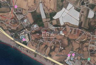 MANAVGAT ÇENGER'DE DENİZE 500m MESAFEDE SATILIK 2,060 m2 TARLA