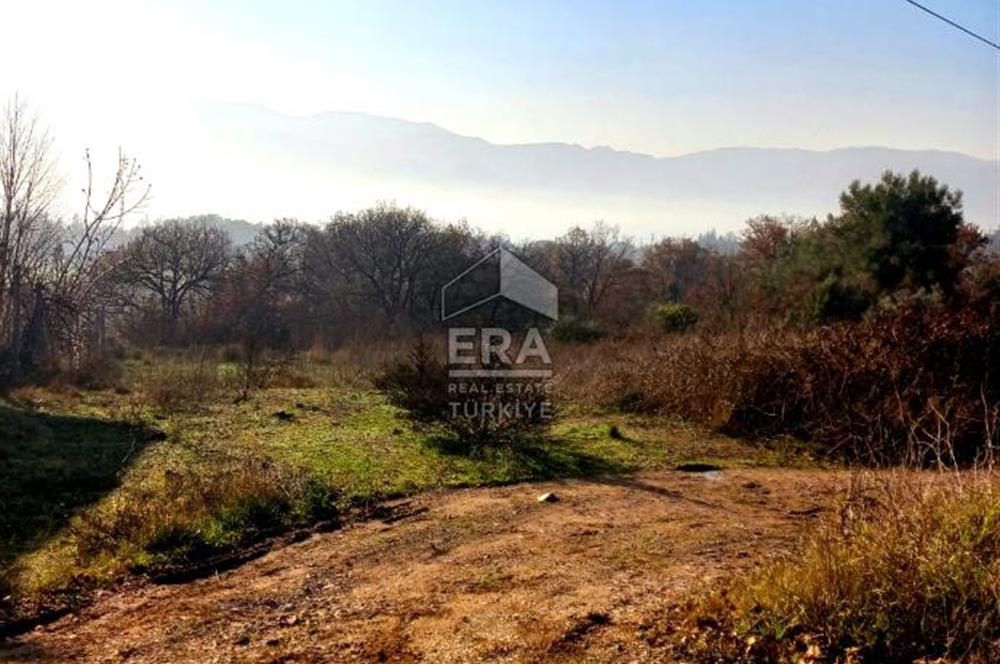ERA KARAT'TAN GEYVE DÜZAKÇAŞEHİR'DE SATILIK ARSA