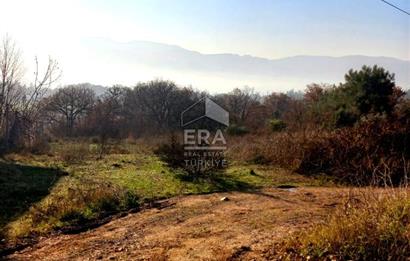 ERA KARAT'TAN GEYVE DÜZAKÇAŞEHİR'DE SATILIK ARSA