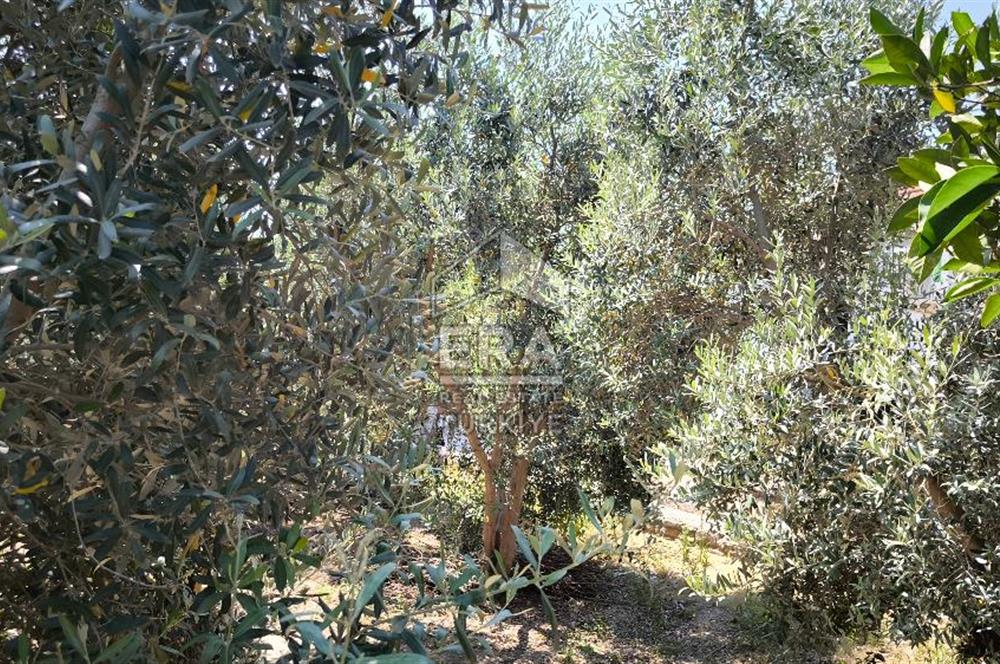 ANTALYA MANAVGAT SAĞRİN MH 540 M2 SATILIK TAŞ DUVARLI EV VE ARSA 