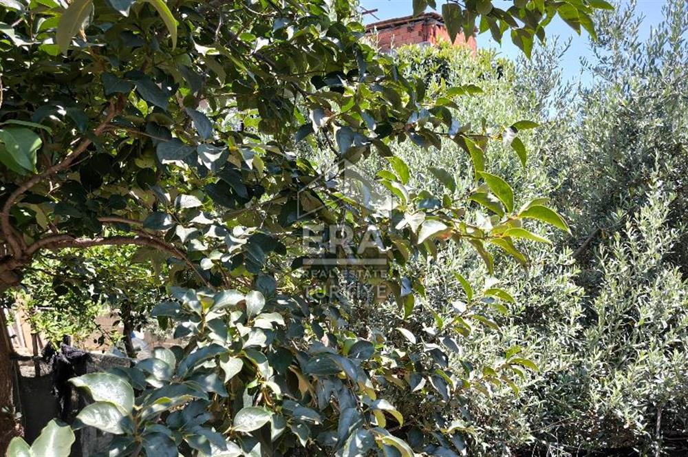 ANTALYA MANAVGAT SAĞRİN MH 540 M2 SATILIK TAŞ DUVARLI EV VE ARSA 