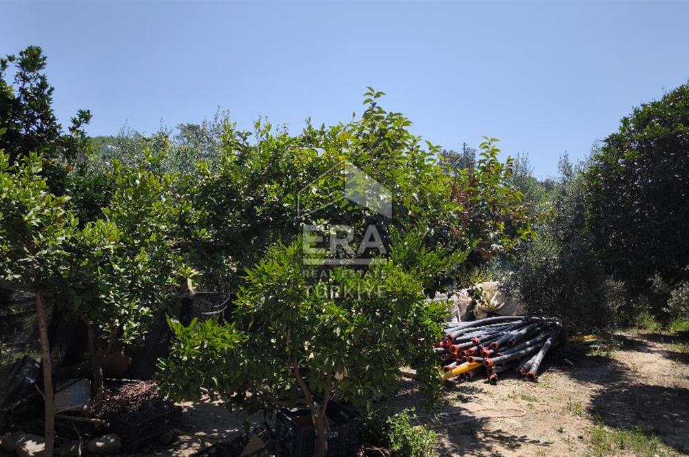 ANTALYA MANAVGAT SAĞRİN MH 540 M2 SATILIK TAŞ DUVARLI EV VE ARSA 