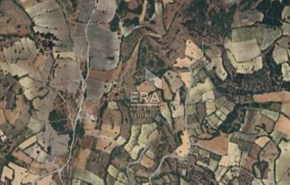 Balıkesir Bigadic Babaköy de 16.797 m2 Yatırımlık Fırsat Tarla