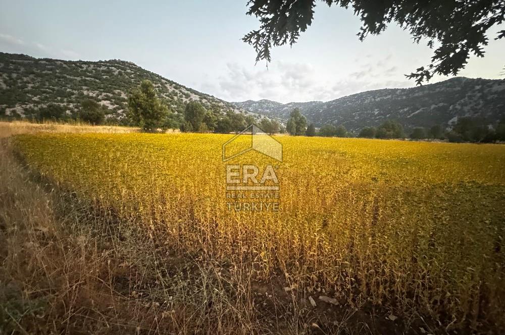 ANTALYA AKSEKİ HÜSAMETTİN'DE SATILIK 1796 m2 TARLA