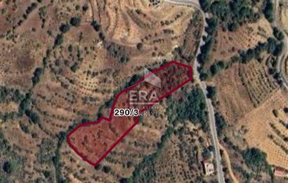 ANTALYA GÜNDOĞMUŞ'DA KONUT YAPIMINA UYGUN 6759 m2 SATILIK ARAZİ