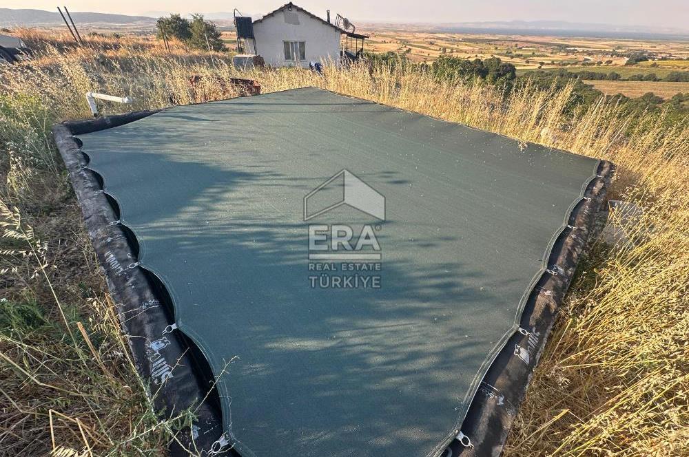 ERA SÖZDEN BALIKESİR GÖNEN BAYRAMİÇ MH SATLIK CEVİZ BAHÇESİ
