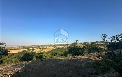 ERA SÖZDEN BALIKESİR GÖNEN BAYRAMİÇ MH SATLIK CEVİZ BAHÇESİ