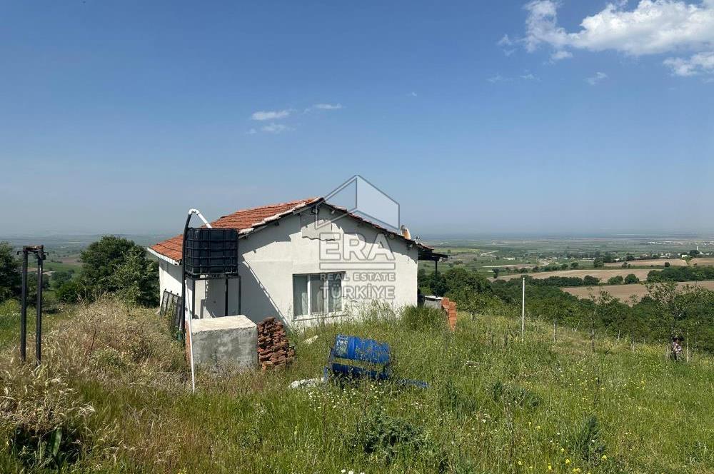 ERA SÖZDEN BALIKESİR GÖNEN BAYRAMİÇ MH SATLIK CEVİZ BAHÇESİ