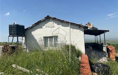 ERA SÖZDEN BALIKESİR GÖNEN BAYRAMİÇ MH SATLIK CEVİZ BAHÇESİ