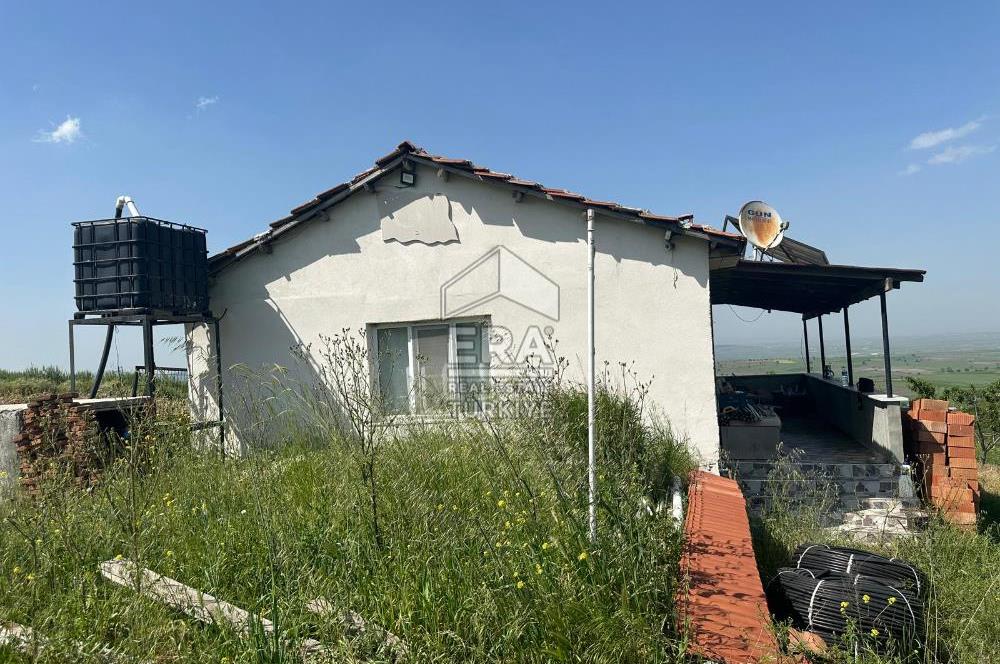 ERA SÖZDEN BALIKESİR GÖNEN BAYRAMİÇ MH SATLIK CEVİZ BAHÇESİ