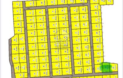 Urla Kuşçularda 251 m2 Satılık Tarla Hissesi