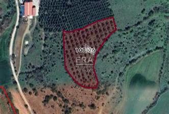 ERA PORT GÜVENCESİYLE BALIKESİR KEPSUT RECEPKÖYDE 10603 m² TARLA