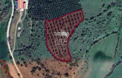 ERA PORT GÜVENCESİYLE BALIKESİR KEPSUT RECEPKÖYDE 10603 m² TARLA