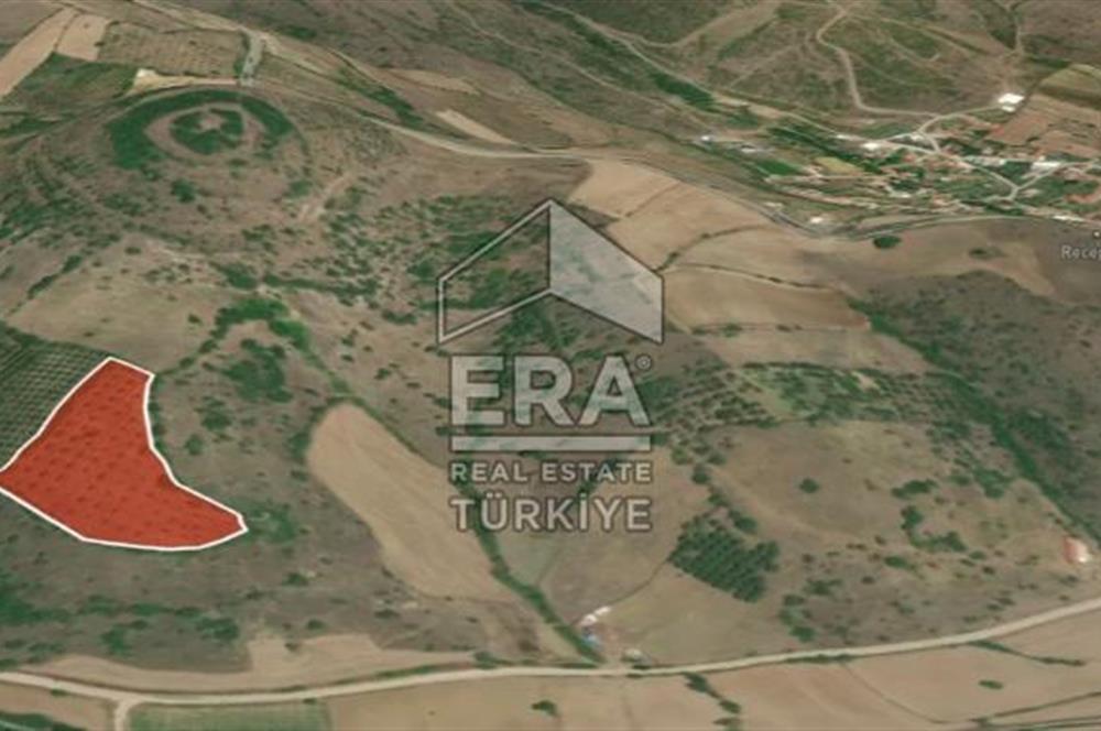 ERA PORT GÜVENCESİYLE BALIKESİR KEPSUT RECEPKÖYDE 10603 m² TARLA