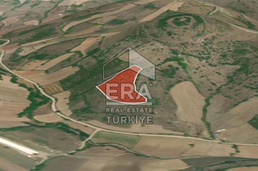 ERA PORT GÜVENCESİYLE BALIKESİR KEPSUT RECEPKÖYDE 10603 m² TARLA