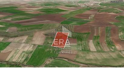 ERA PORT GÜVENCESİYLE BANDIRMA KÜLEFLİ'DE 21.565 m² TARLA