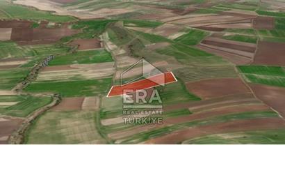 ERA PORT GÜVENCESİYLE BANDIRMA KÜLEFLİ'DE 21.565 m² TARLA