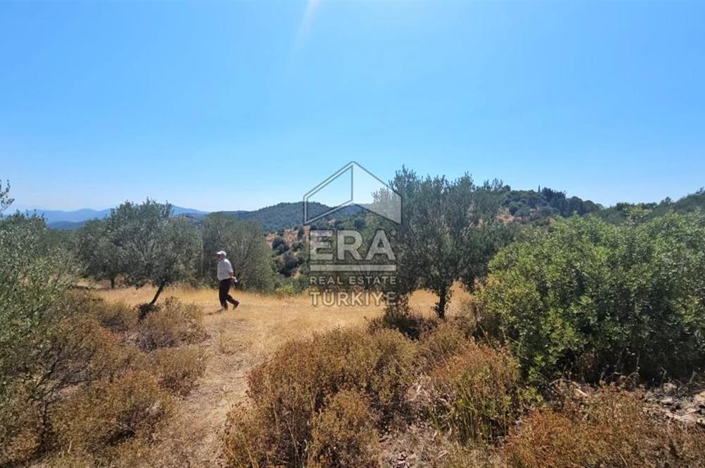 SEFERİHİSAR ORHANLI SATILIK 38.000 M2 ARAZİ