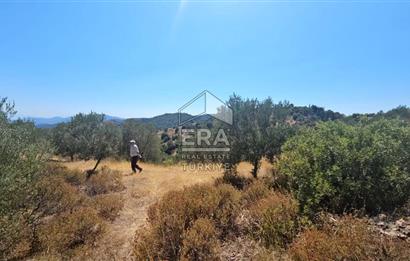 SEFERİHİSAR ORHANLI SATILIK 38.000 M2 ARAZİ