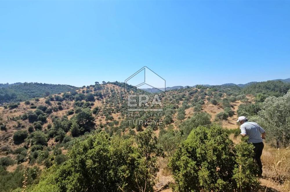 SEFERİHİSAR ORHANLI SATILIK 38.000 M2 ARAZİ