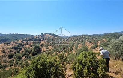 SEFERİHİSAR ORHANLI SATILIK 38.000 M2 ARAZİ