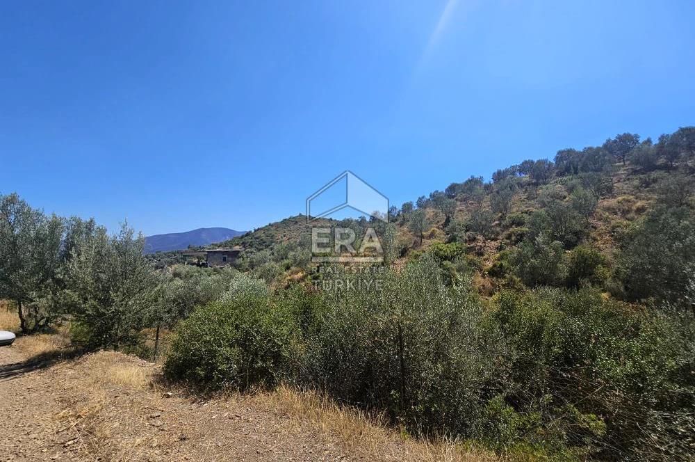 SEFERİHİSAR ORHANLI SATILIK 38.000 M2 ARAZİ