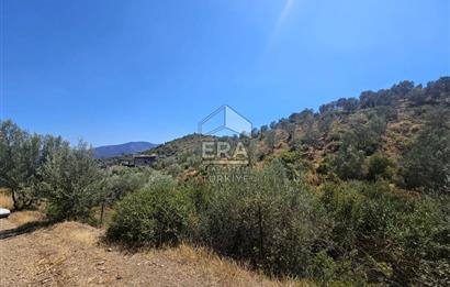 SEFERİHİSAR ORHANLI SATILIK 38.000 M2 ARAZİ