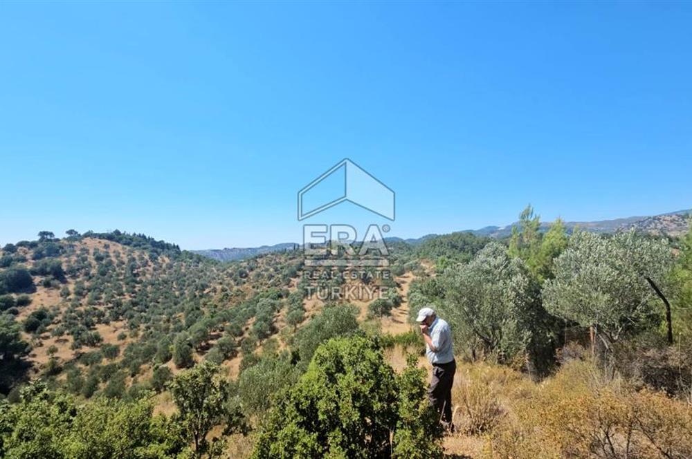 SEFERİHİSAR ORHANLI SATILIK 38.000 M2 ARAZİ