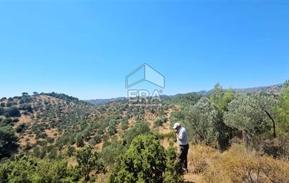 SEFERİHİSAR ORHANLI SATILIK 38.000 M2 ARAZİ