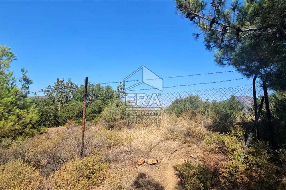 SEFERİHİSAR ORHANLI SATILIK 38.000 M2 ARAZİ