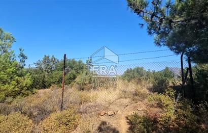 SEFERİHİSAR ORHANLI SATILIK 38.000 M2 ARAZİ