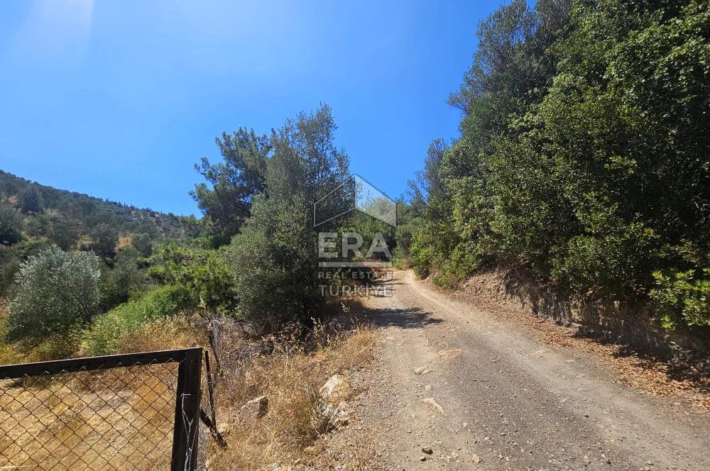 SEFERİHİSAR ORHANLI SATILIK 38.000 M2 ARAZİ