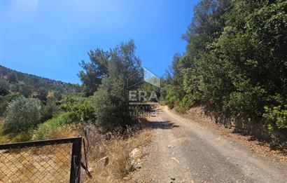 SEFERİHİSAR ORHANLI SATILIK 38.000 M2 ARAZİ