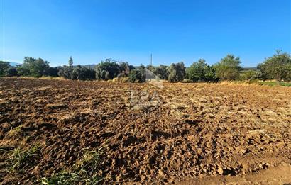 TORBALI ORMANKÖY SATILIK 3.707 M2 TARLA