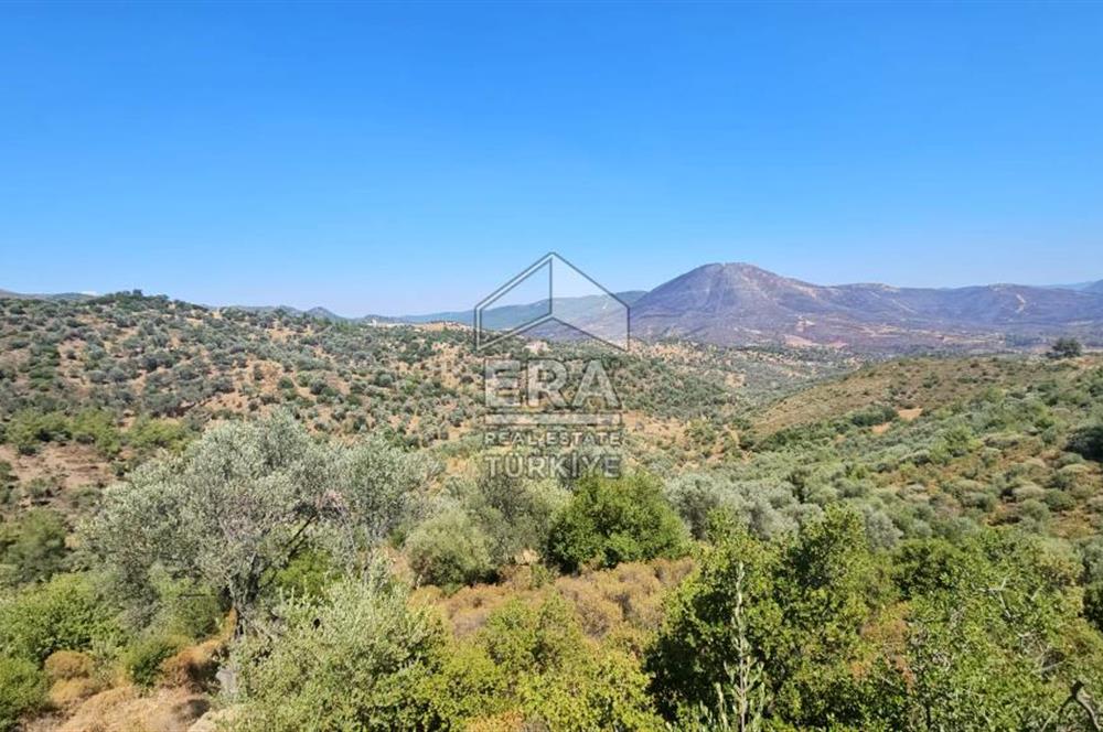 SEFERİHİSAR ORHANLI SATILIK 38.000 M2 ARAZİ