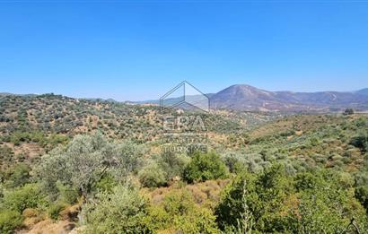 SEFERİHİSAR ORHANLI SATILIK 38.000 M2 ARAZİ
