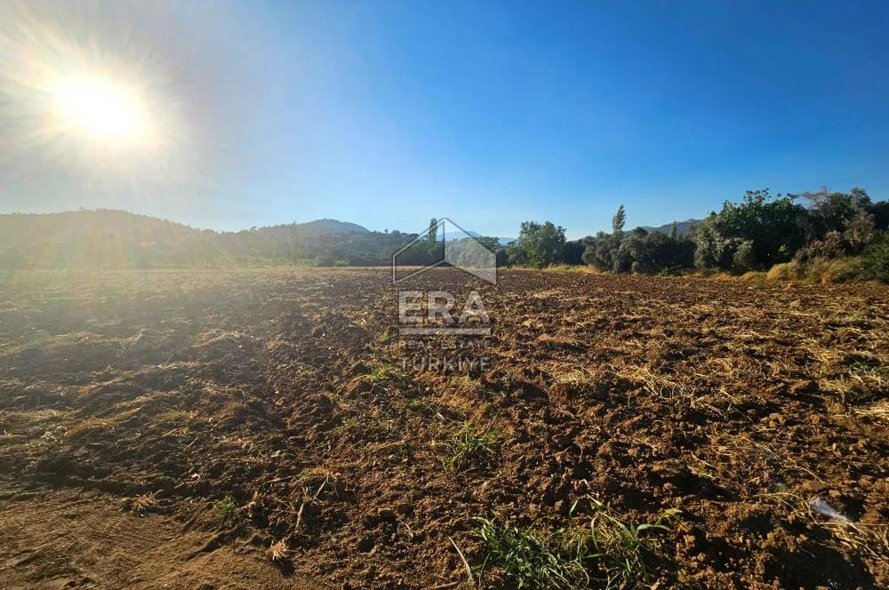 TORBALI ORMANKÖY SATILIK 3.707 M2 TARLA