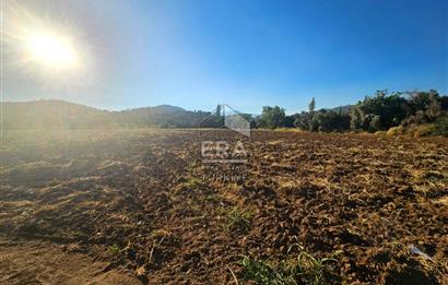 TORBALI ORMANKÖY SATILIK 3.707 M2 TARLA