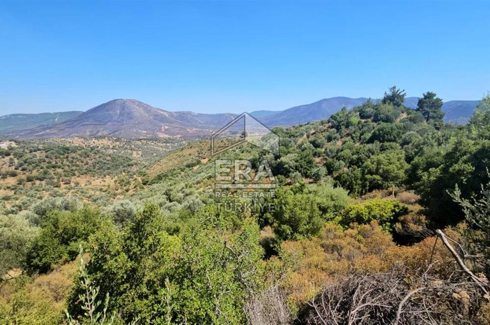 SEFERİHİSAR ORHANLI SATILIK 38.000 M2 ARAZİ