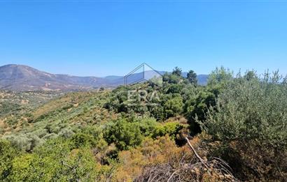 SEFERİHİSAR ORHANLI SATILIK 38.000 M2 ARAZİ