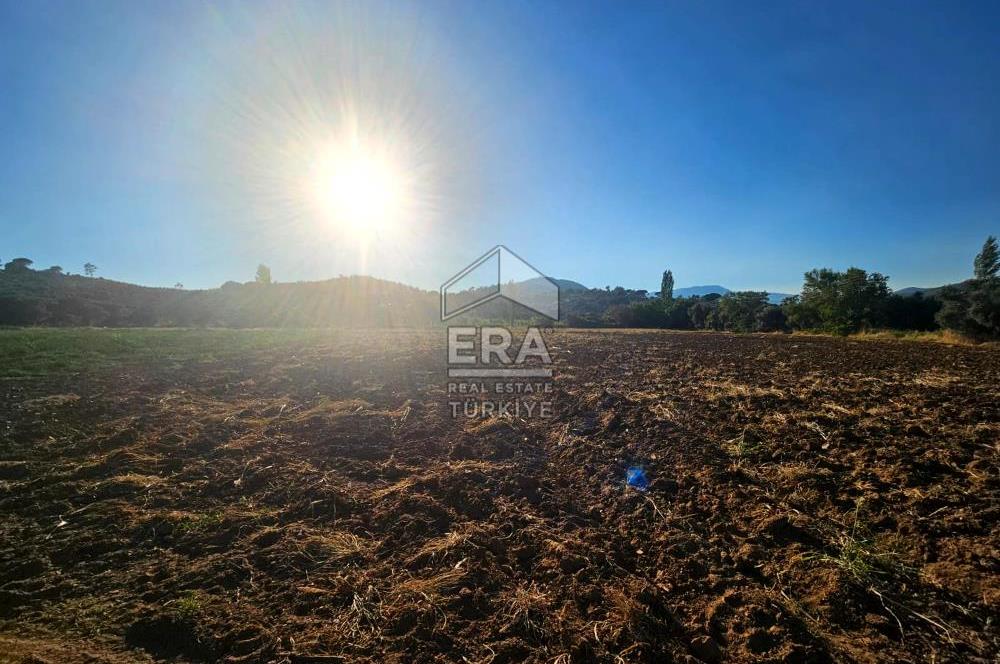 TORBALI ORMANKÖY SATILIK 3.707 M2 TARLA