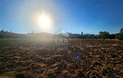 TORBALI ORMANKÖY SATILIK 3.707 M2 TARLA