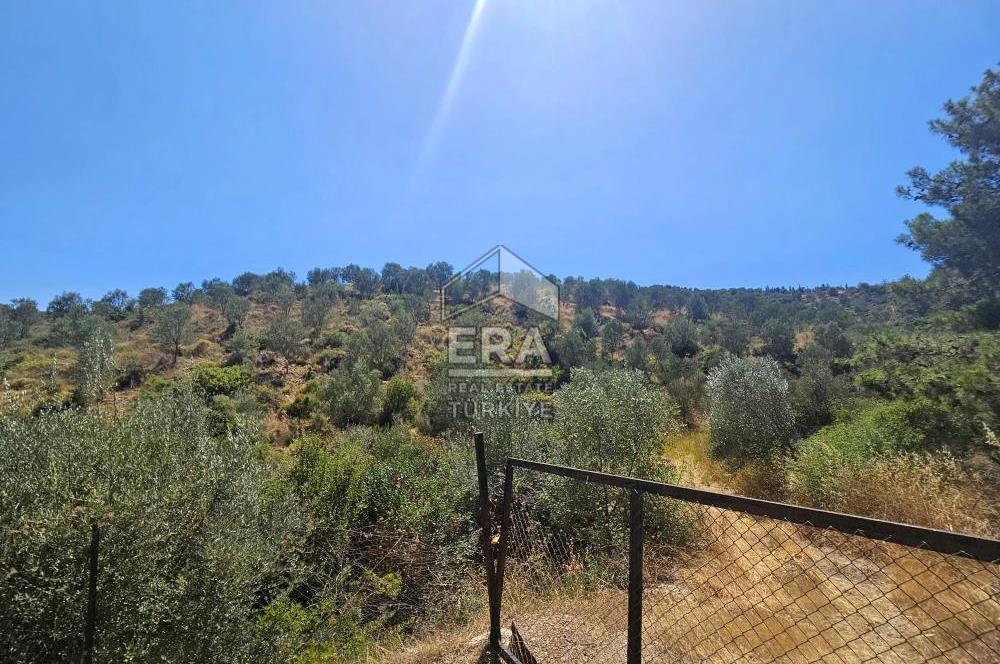SEFERİHİSAR ORHANLI SATILIK 38.000 M2 ARAZİ