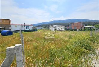 MENDERES DEĞİRMENDERE SATILIK 300 M2 KOOPERATİF HİSSELİ ARSA