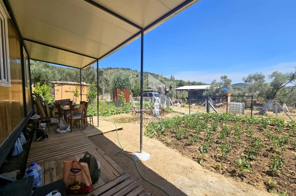TORBALI DİRMİL SATILIK 215 M2 KOOPERATİF HİSSELİ ARSA