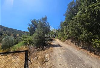 SEFERİHİSAR ORHANLI SATILIK 38.000 M2 ARAZİ