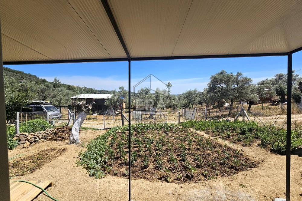 TORBALI DİRMİL SATILIK 215 M2 KOOPERATİF HİSSELİ ARSA