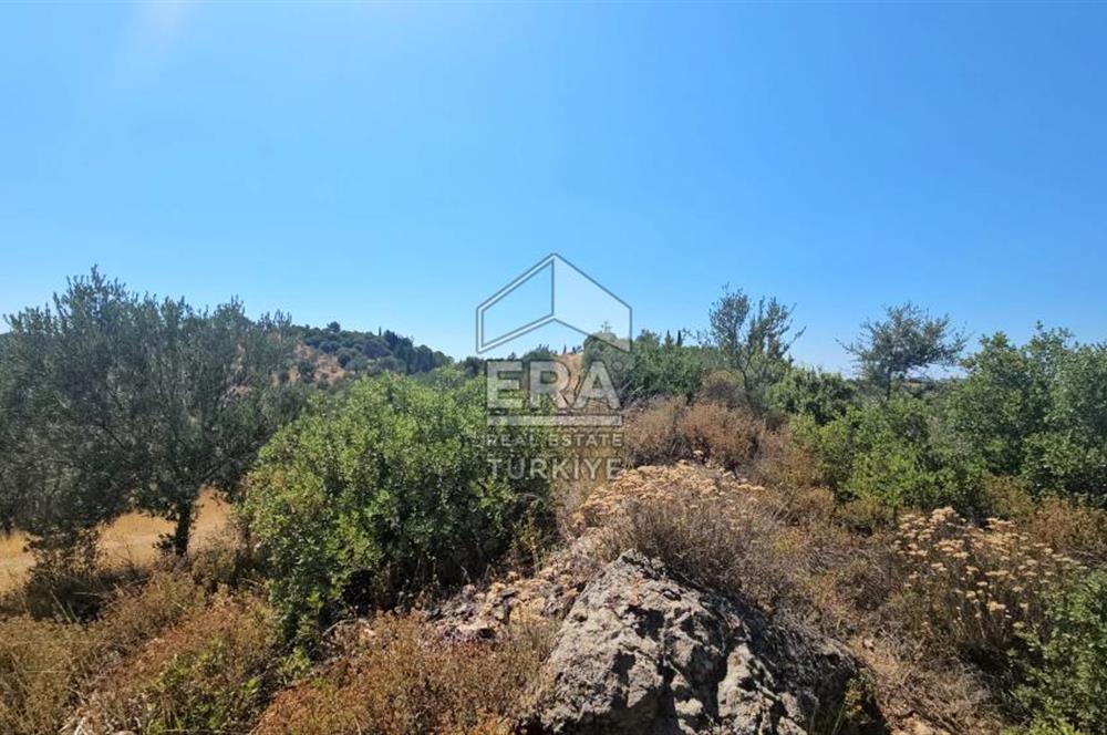 SEFERİHİSAR ORHANLI SATILIK 38.000 M2 ARAZİ
