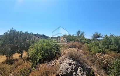 SEFERİHİSAR ORHANLI SATILIK 38.000 M2 ARAZİ